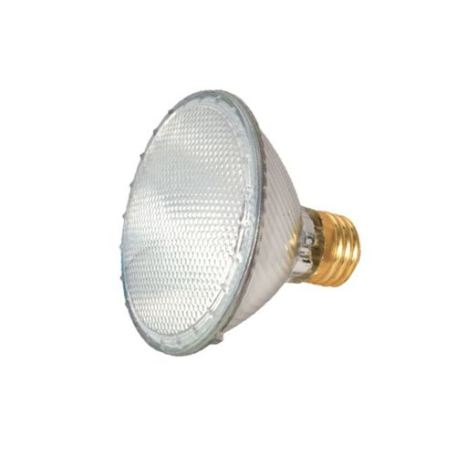 (image for) Halogen Fldlamp 39w Shrt Par30